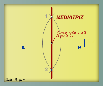 mediatriz